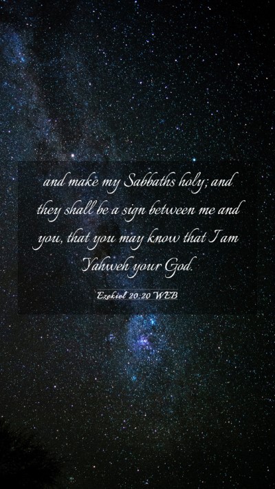 Picture 03 - Ezekiel 20:20 WEB Mobile Phone Wallpaper - and make my Sabbaths holy; and they shall be a - Mobile Bible Verse Wallpaper