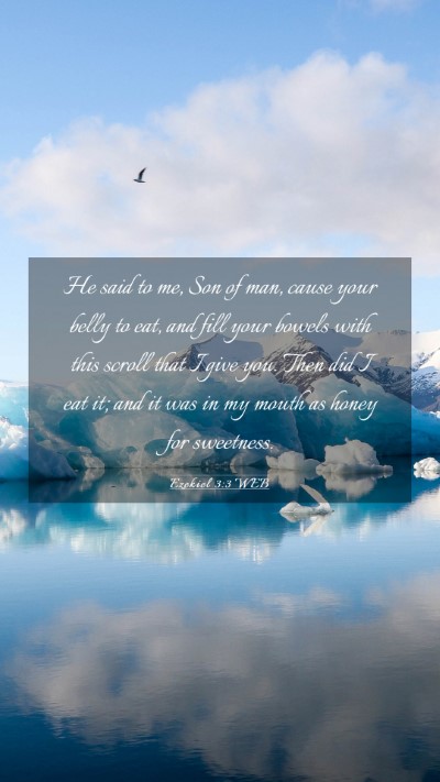 Picture 03 - Ezekiel 3:3 WEB Mobile Phone Wallpaper - He said to me, Son of man, cause your belly to - Mobile Bible Verse Wallpaper