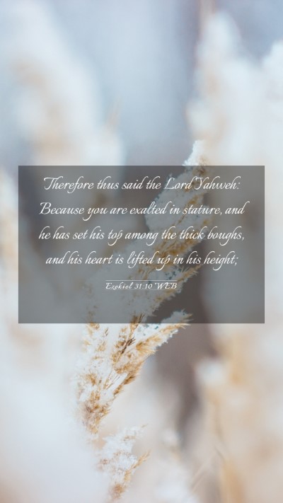 Picture 03 - Ezekiel 31:10 WEB Mobile Phone Wallpaper - Therefore thus said the Lord Yahweh: Because you - Mobile Bible Verse Wallpaper