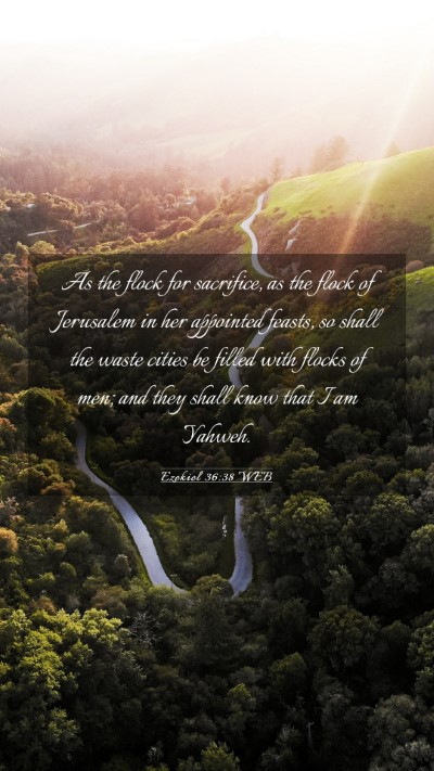 Picture 03 - Ezekiel 36:38 WEB Mobile Phone Wallpaper - As the flock for sacrifice, as the flock of - Mobile Bible Verse Wallpaper