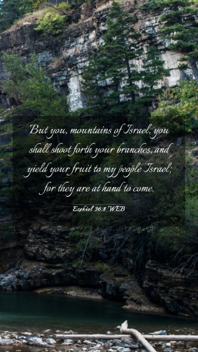 Picture 03 - Ezekiel 36:8 WEB Mobile Phone Wallpaper - But you, mountains of Israel, you shall shoot - Mobile Bible Verse Wallpaper