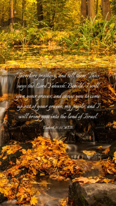 Picture 03 - Ezekiel 37:12 WEB Mobile Phone Wallpaper - Therefore prophesy, and tell them, Thus says the - Mobile Bible Verse Wallpaper