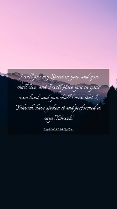 Picture 03 - Ezekiel 37:14 WEB Mobile Phone Wallpaper - I will put my Spirit in you, and you shall live, - Mobile Bible Verse Wallpaper