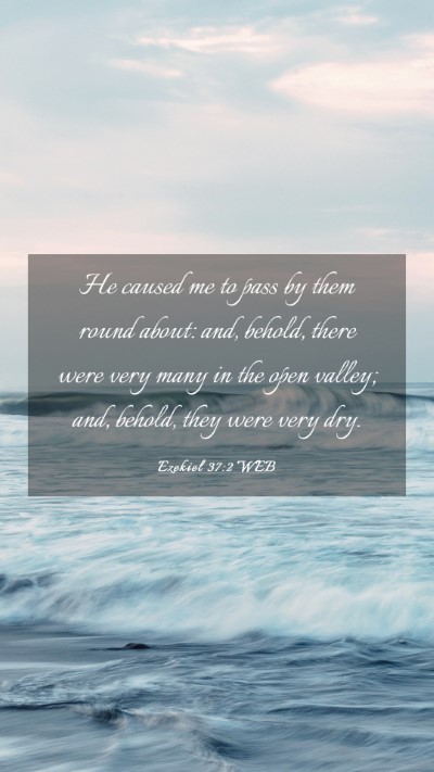 Picture 03 - Ezekiel 37:2 WEB Mobile Phone Wallpaper - He caused me to pass by them round about: and, - Mobile Bible Verse Wallpaper