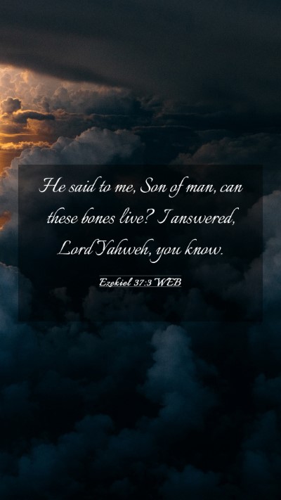 Picture 03 - Ezekiel 37:3 WEB Mobile Phone Wallpaper - He said to me, Son of man, can these bones live? - Mobile Bible Verse Wallpaper