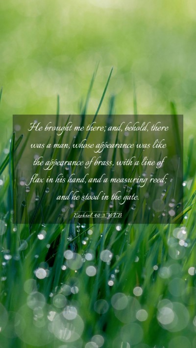 Picture 03 - Ezekiel 40:3 WEB Mobile Phone Wallpaper - He brought me there; and, behold, there was a - Mobile Bible Verse Wallpaper