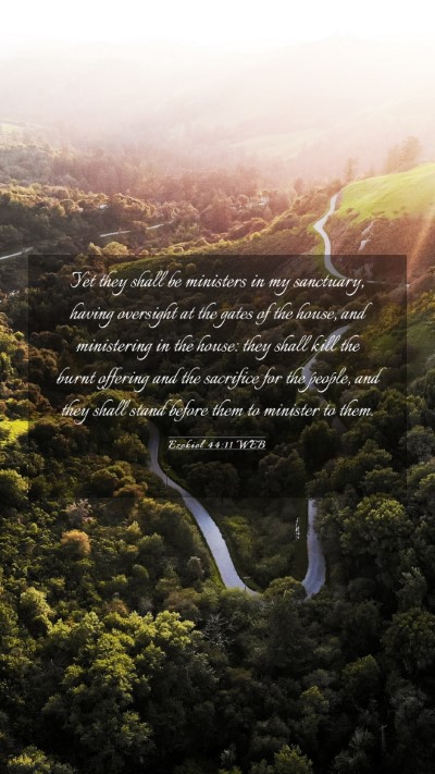 Picture 03 - Ezekiel 44:11 WEB Mobile Phone Wallpaper - Yet they shall be ministers in my sanctuary, - Mobile Bible Verse Wallpaper