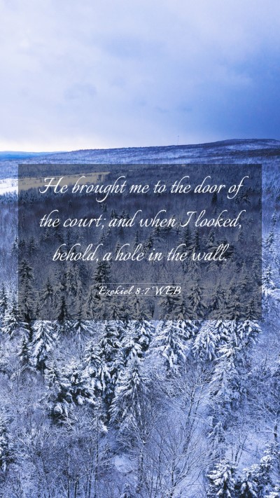 Picture 03 - Ezekiel 8:7 WEB Mobile Phone Wallpaper - He brought me to the door of the court; and when - Mobile Bible Verse Wallpaper