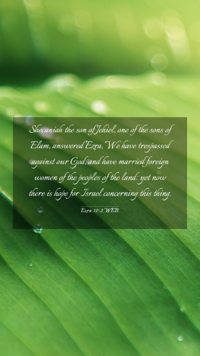 Picture 03 - Ezra 10:2 WEB Mobile Phone Wallpaper - Shecaniah the son of Jehiel, one of the sons of - Mobile Bible Verse Wallpaper