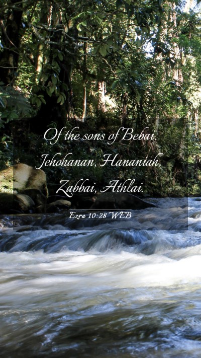 Picture 03 - Ezra 10:28 WEB Mobile Phone Wallpaper - Of the sons of Bebai: Jehohanan, Hananiah, - Mobile Bible Verse Wallpaper