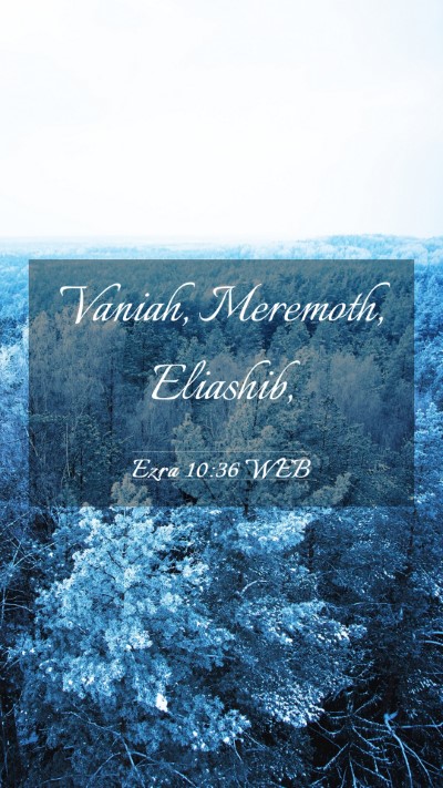 Picture 03 - Ezra 10:36 WEB Mobile Phone Wallpaper - Vaniah, Meremoth, - Mobile Bible Verse Wallpaper