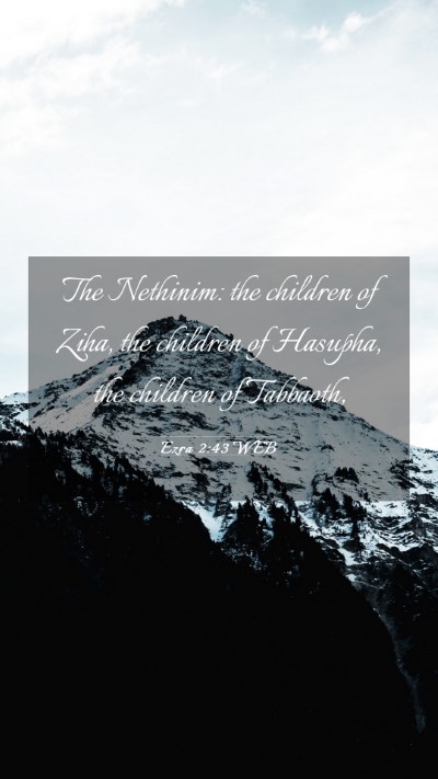 Picture 03 - Ezra 2:43 WEB Mobile Phone Wallpaper - The Nethinim: the children of Ziha, the children - Mobile Bible Verse Wallpaper