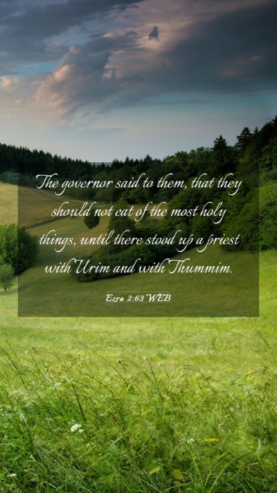 Picture 03 - Ezra 2:63 WEB Mobile Phone Wallpaper - The governor said to them, that they should not - Mobile Bible Verse Wallpaper
