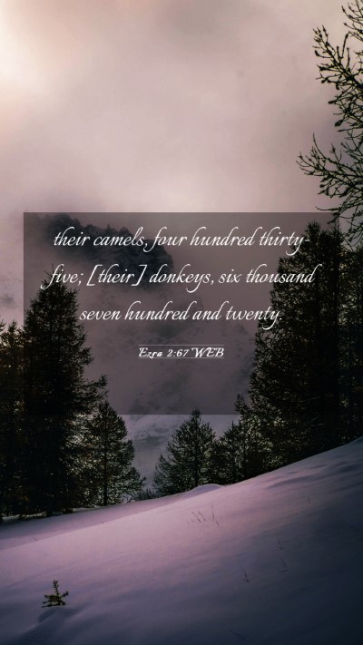 Picture 03 - Ezra 2:67 WEB Mobile Phone Wallpaper - their camels, four hundred thirty-five; [their] - Mobile Bible Verse Wallpaper