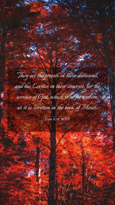 Picture 03 - Ezra 6:18 WEB Mobile Phone Wallpaper - They set the priests in their divisions, and the - Mobile Bible Verse Wallpaper