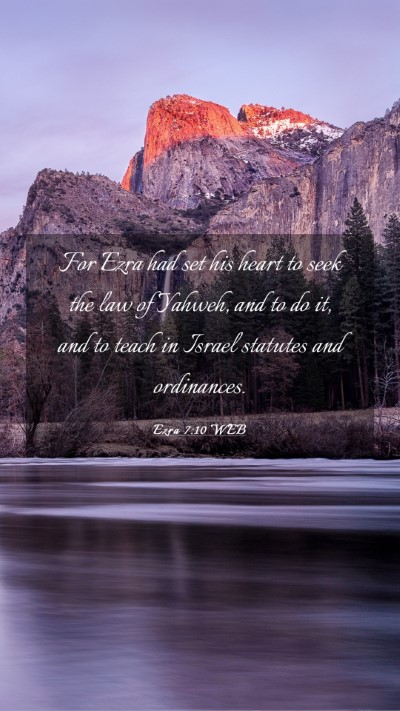 Picture 03 - Ezra 7:10 WEB Mobile Phone Wallpaper - For Ezra had set his heart to seek the law of - Mobile Bible Verse Wallpaper
