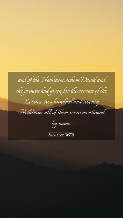 Picture 03 - Ezra 8:20 WEB Mobile Phone Wallpaper - and of the Nethinim, whom David and the princes - Mobile Bible Verse Wallpaper