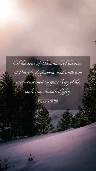 Picture 03 - Ezra 8:3 WEB Mobile Phone Wallpaper - Of the sons of Shecaniah, of the sons of Parosh, - Mobile Bible Verse Wallpaper