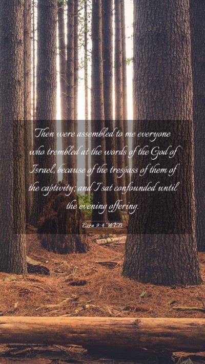 Picture 03 - Ezra 9:4 WEB Mobile Phone Wallpaper - Then were assembled to me everyone who trembled - Mobile Bible Verse Wallpaper