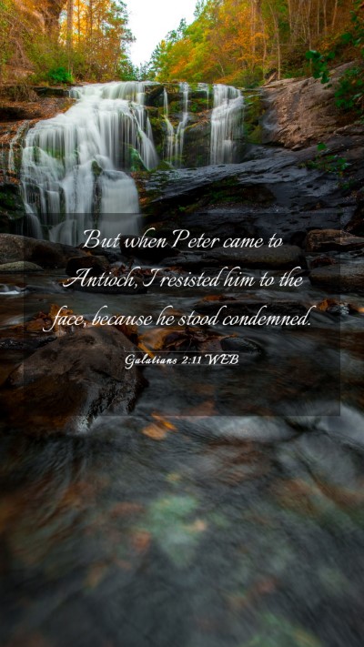 Picture 03 - Galatians 2:11 WEB Mobile Phone Wallpaper - But when Peter came to Antioch, I resisted him to - Mobile Bible Verse Wallpaper