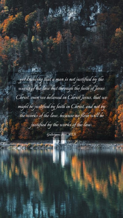 Picture 03 - Galatians 2:16 WEB Mobile Phone Wallpaper - yet knowing that a man is not justified by the - Mobile Bible Verse Wallpaper