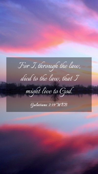 Picture 03 - Galatians 2:19 WEB Mobile Phone Wallpaper - For I, through the law, died to the law, that I - Mobile Bible Verse Wallpaper