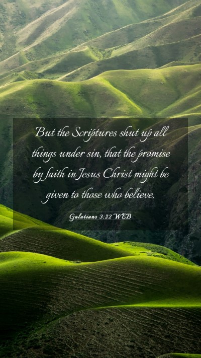 Picture 03 - Galatians 3:22 WEB Mobile Phone Wallpaper - But the Scriptures shut up all things under sin, - Mobile Bible Verse Wallpaper
