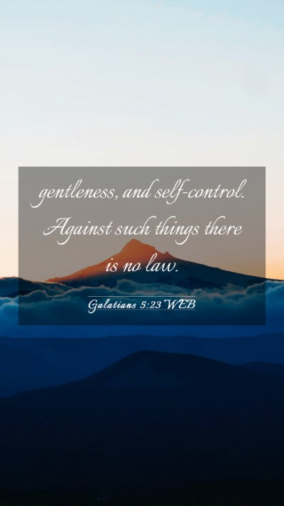 Picture 03 - Galatians 5:23 WEB Mobile Phone Wallpaper - gentleness, and self-control. Against such things - Mobile Bible Verse Wallpaper