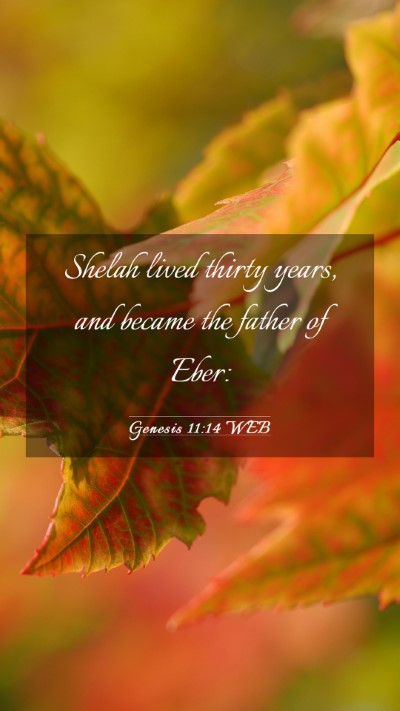 Picture 03 - Genesis 11:14 WEB Mobile Phone Wallpaper - Shelah lived thirty years, and became the father - Mobile Bible Verse Wallpaper