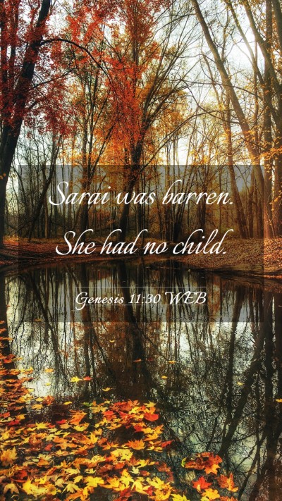 Picture 03 - Genesis 11:30 WEB Mobile Phone Wallpaper - Sarai was barren. She had no - Mobile Bible Verse Wallpaper