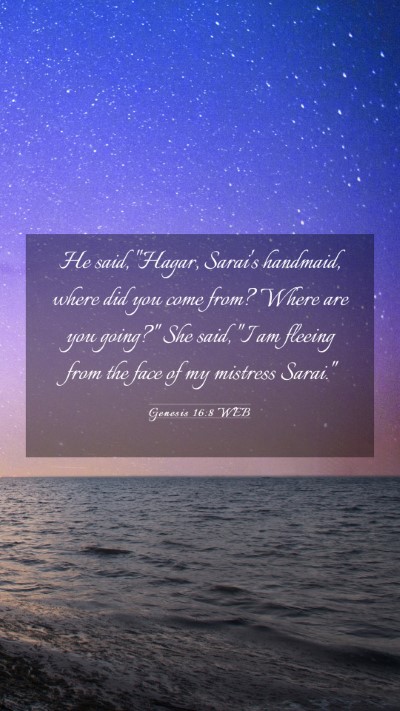 Picture 03 - Genesis 16:8 WEB Mobile Phone Wallpaper - He said, 