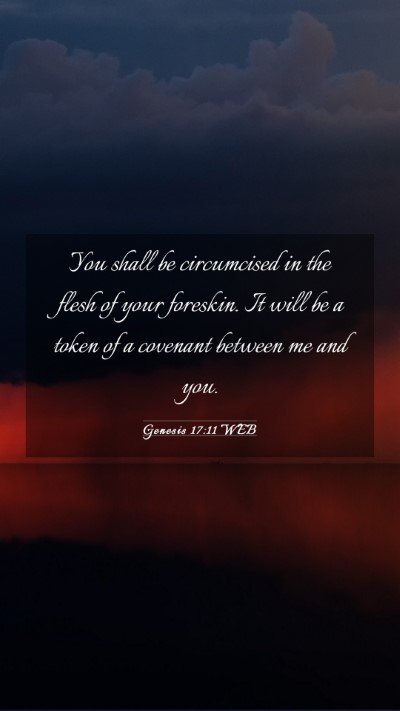 Picture 03 - Genesis 17:11 WEB Mobile Phone Wallpaper - You shall be circumcised in the flesh of your - Mobile Bible Verse Wallpaper