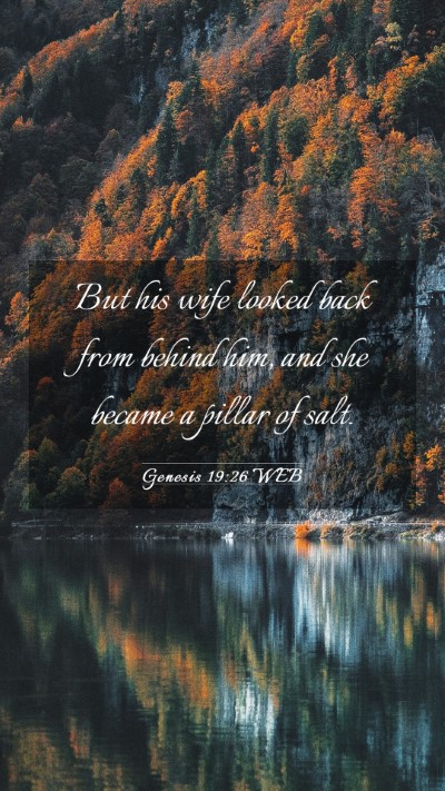 Picture 03 - Genesis 19:26 WEB Mobile Phone Wallpaper - But his wife looked back from behind him, and she - Mobile Bible Verse Wallpaper
