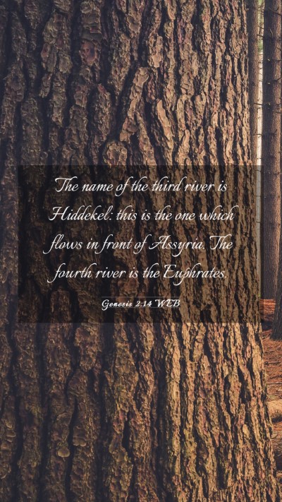 Picture 03 - Genesis 2:14 WEB Mobile Phone Wallpaper - The name of the third river is Hiddekel: this is - Mobile Bible Verse Wallpaper