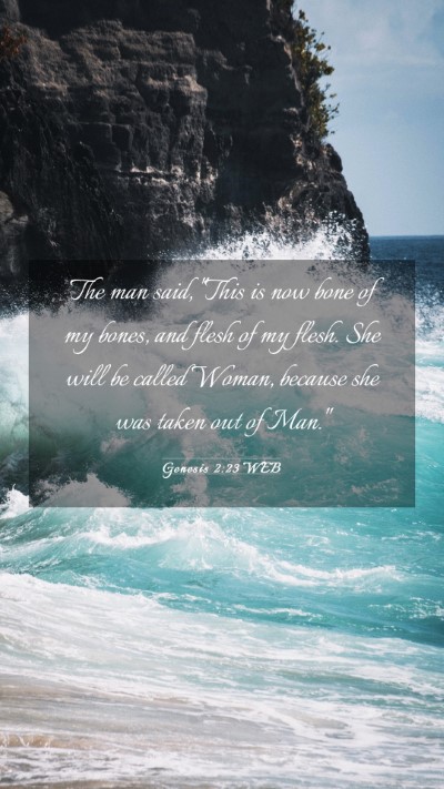 Picture 03 - Genesis 2:23 WEB Mobile Phone Wallpaper - The man said, 