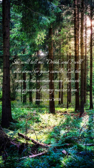 Picture 03 - Genesis 24:44 WEB Mobile Phone Wallpaper - She will tell me, 