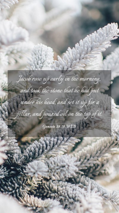 Picture 03 - Genesis 28:18 WEB Mobile Phone Wallpaper - Jacob rose up early in the morning, and took the - Mobile Bible Verse Wallpaper