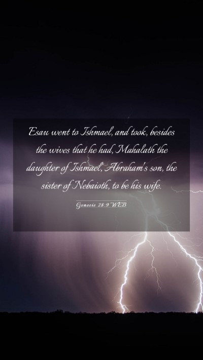 Picture 03 - Genesis 28:9 WEB Mobile Phone Wallpaper - Esau went to Ishmael, and took, besides the wives - Mobile Bible Verse Wallpaper