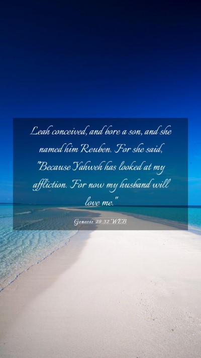 Picture 03 - Genesis 29:32 WEB Mobile Phone Wallpaper - Leah conceived, and bore a son, and she named him - Mobile Bible Verse Wallpaper