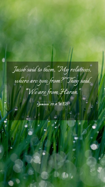 Picture 03 - Genesis 29:4 WEB Mobile Phone Wallpaper - Jacob said to them, 