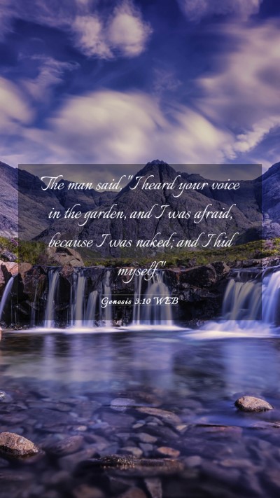 Picture 03 - Genesis 3:10 WEB Mobile Phone Wallpaper - The man said, 