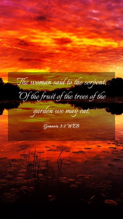 Picture 03 - Genesis 3:2 WEB Mobile Phone Wallpaper - The woman said to the serpent, 