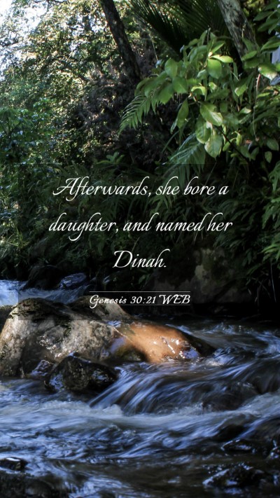 Picture 03 - Genesis 30:21 WEB Mobile Phone Wallpaper - Afterwards, she bore a daughter, and named her - Mobile Bible Verse Wallpaper