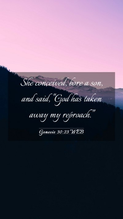 Picture 03 - Genesis 30:23 WEB Mobile Phone Wallpaper - She conceived, bore a son, and said, 