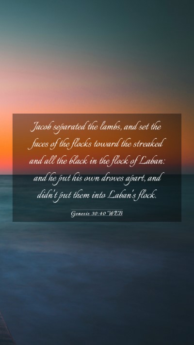 Picture 03 - Genesis 30:40 WEB Mobile Phone Wallpaper - Jacob separated the lambs, and set the faces of - Mobile Bible Verse Wallpaper