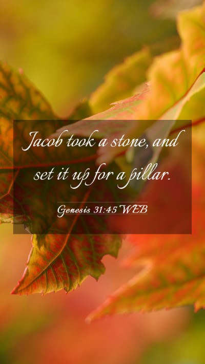 Picture 03 - Genesis 31:45 WEB Mobile Phone Wallpaper - Jacob took a stone, and set it up for a - Mobile Bible Verse Wallpaper