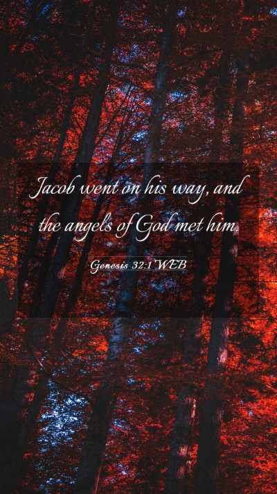 Picture 03 - Genesis 32:1 WEB Mobile Phone Wallpaper - Jacob went on his way, and the angels of God met - Mobile Bible Verse Wallpaper