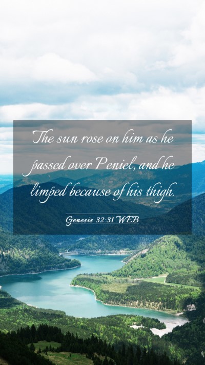 Picture 03 - Genesis 32:31 WEB Mobile Phone Wallpaper - The sun rose on him as he passed over Peniel, and - Mobile Bible Verse Wallpaper