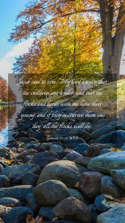 Picture 03 - Genesis 33:13 WEB Mobile Phone Wallpaper - Jacob said to him, 