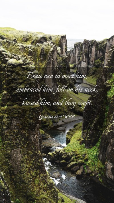 Picture 03 - Genesis 33:4 WEB Mobile Phone Wallpaper - Esau ran to meet him, embraced him, fell on his - Mobile Bible Verse Wallpaper